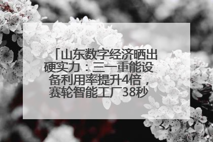山东数字经济晒出硬实力：三一重能设备利用率提升4倍，赛轮智能工厂38秒生产一条轮胎