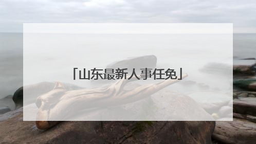 山东最新人事任免
