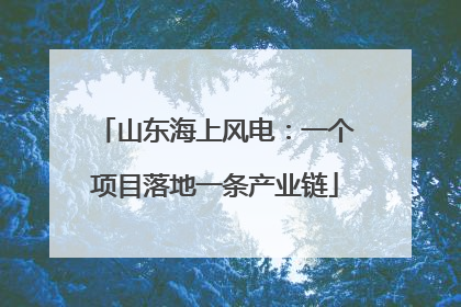 山东海上风电：一个项目落地一条产业链