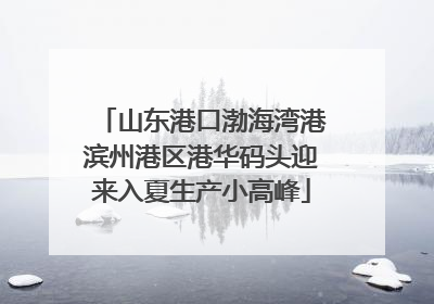山东港口渤海湾港滨州港区港华码头迎来入夏生产小高峰