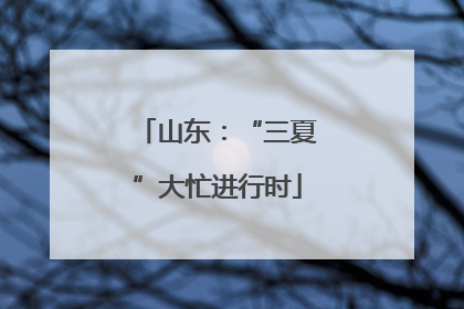 山东：“三夏”大忙进行时