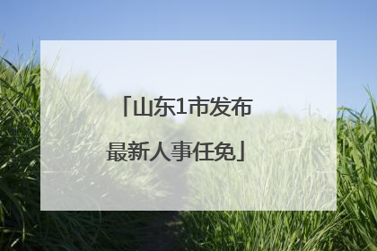 山东1市发布最新人事任免