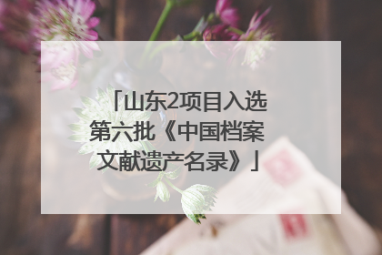 山东2项目入选第六批《中国档案文献遗产名录》