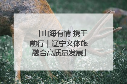 山海有情 携手前行｜辽宁文体旅融合高质量发展