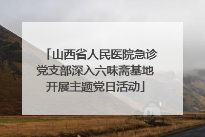 山西省人民医院急诊党支部深入六味斋基地开展主题党日活动