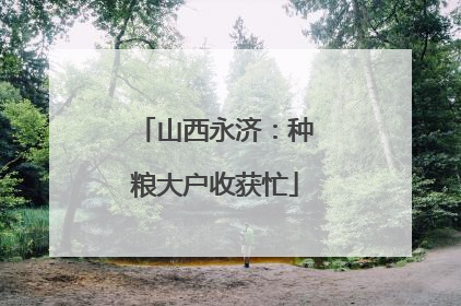 山西永济：种粮大户收获忙