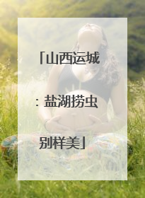山西运城：盐湖捞虫别样美