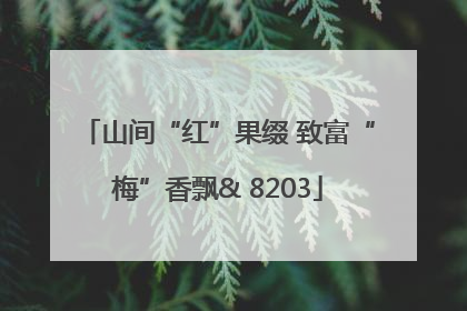 山间“红”果缀 致富“梅”香飘& 8203