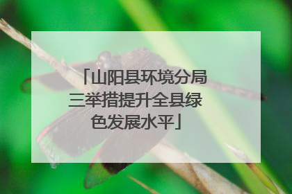 山阳县环境分局三举措提升全县绿色发展水平