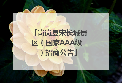 岢岚县宋长城景区（国家AAA级）招商公告