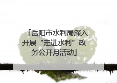 岳阳市水利局深入开展“走进水利”政务公开月活动