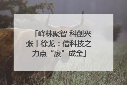 峰林聚智 科创兴张丨徐龙：借科技之力点“废”成金