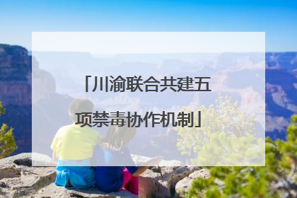 川渝联合共建五项禁毒协作机制