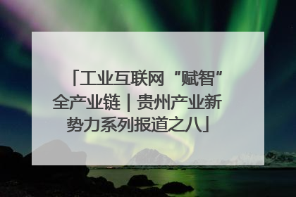 工业互联网“赋智”全产业链｜贵州产业新势力系列报道之八