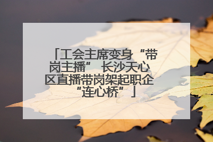工会主席变身“带岗主播” 长沙天心区直播带岗架起职企“连心桥”