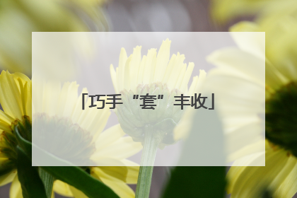 巧手“套”丰收
