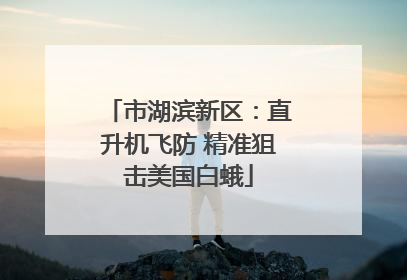 市湖滨新区：直升机飞防 精准狙击美国白蛾