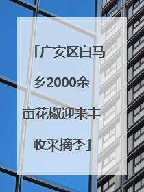 广安区白马乡2000余亩花椒迎来丰收采摘季