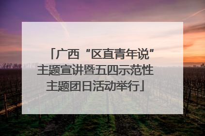 广西“区直青年说”主题宣讲暨五四示范性主题团日活动举行