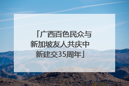 广西百色民众与新加坡友人共庆中新建交35周年
