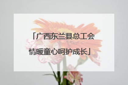广西东兰县总工会情暖童心呵护成长