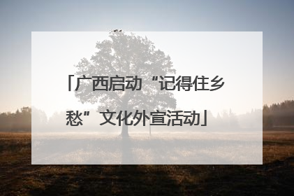 广西启动“记得住乡愁”文化外宣活动