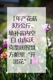 年产花菇3万公斤、填补省内空白 山东沃克集团智慧方舱里“开出花”