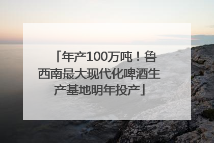 年产100万吨！鲁西南最大现代化啤酒生产基地明年投产