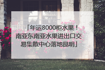 年运8000柜水果！南亚东南亚水果进出口交易集散中心落地昆明