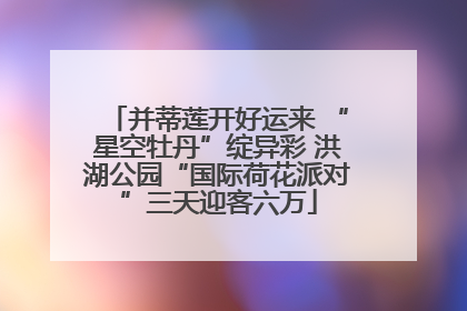 并蒂莲开好运来 “星空牡丹”绽异彩 洪湖公园“国际荷花派对”三天迎客六万