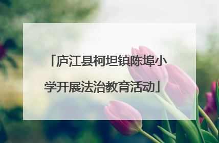 庐江县柯坦镇陈埠小学开展法治教育活动