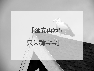 延安再添5只朱鹮宝宝
