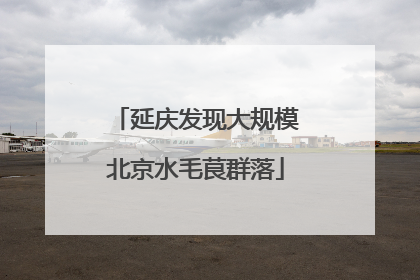 延庆发现大规模北京水毛茛群落