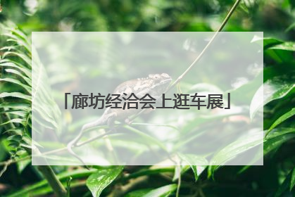 廊坊经洽会上逛车展