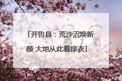 开鲁县：荒沙沼焕新颜 大地从此着绿衣