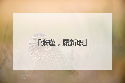 张瑾，履新职