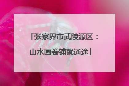 张家界市武陵源区：山水画卷铺就通途