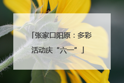 张家口阳原：多彩活动庆“六一”