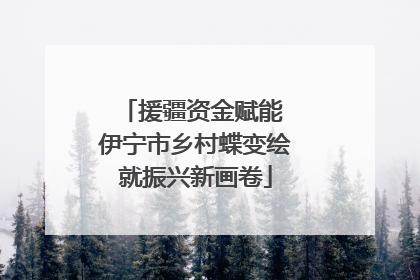 援疆资金赋能 伊宁市乡村蝶变绘就振兴新画卷