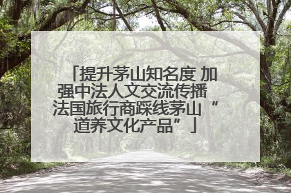 提升茅山知名度 加强中法人文交流传播 法国旅行商踩线茅山“道养文化产品”