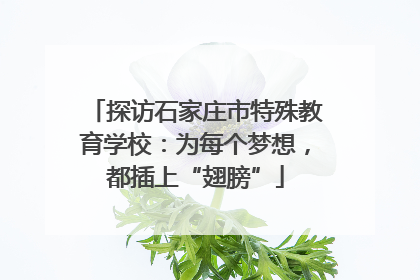 探访石家庄市特殊教育学校：为每个梦想，都插上“翅膀”