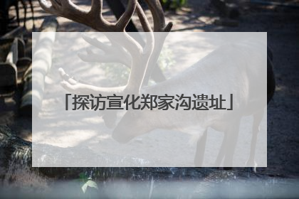 探访宣化郑家沟遗址