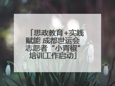 思政教育+实践赋能 成都世运会志愿者“小青椒”培训工作启动