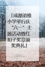 成都弟维小学举行庆“六一”主题活动暨红扣子奖章颁奖典礼