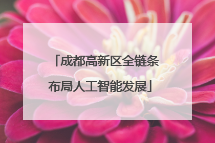 成都高新区全链条布局人工智能发展