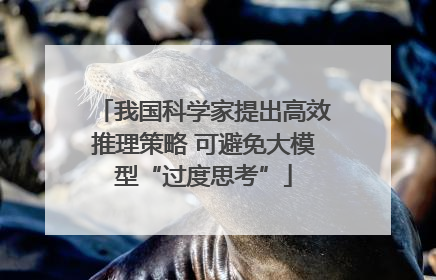 我国科学家提出高效推理策略 可避免大模型“过度思考”