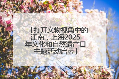 打开文物视角中的江南，上海2025年文化和自然遗产日主题活动启幕