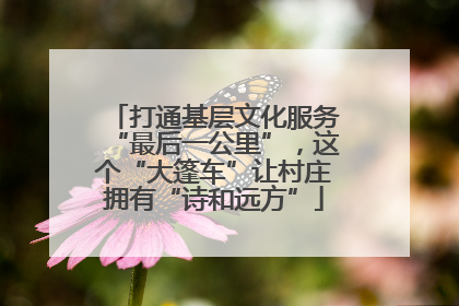 打通基层文化服务“最后一公里”，这个“大篷车”让村庄拥有“诗和远方”