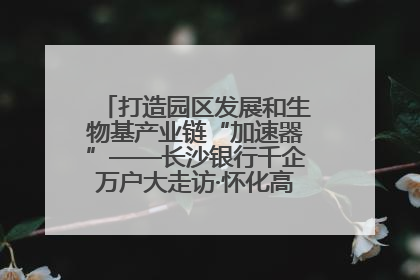 打造园区发展和生物基产业链“加速器”——长沙银行千企万户大走访·怀化高新区、生物基产业链专场活动举行