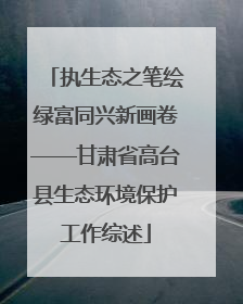 执生态之笔绘绿富同兴新画卷——甘肃省高台县生态环境保护工作综述